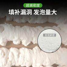 PRE 发泡密封胶 750ml（单位：瓶）