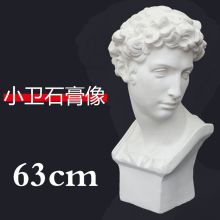 蒂登 美术教具阿波罗石膏像（单位：个）