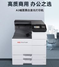 奔图 P9502 激光打印机—黑白（单位：台）
