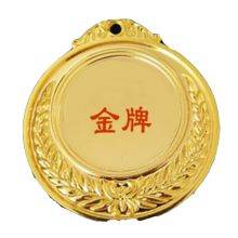 国产 大号LOGO定做 奖牌 银色(单位：个）