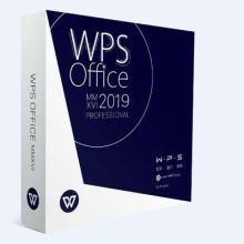金山 WPS Office 2019 办公软件 教育版（单位：套）