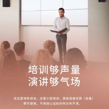 漫步者 木质无线蓝牙音箱 壁挂教室会议室扩音 电脑桌面音响 黑色（单位：个）