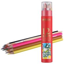 晨光 AWP36809 水溶性木质彩铅 12色 12支/筒 彩色 （单位：筒）