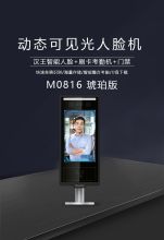 汉王 HW-GD-M0816 琥珀版 8英寸高清彩屏（支持触摸）动态双目摄像 智能高清活体人证核验考勤终端(含设备安装调试及安装管线辅材辅件） 银+黑色（单位：台）