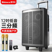 新科 D37 音箱/音响 蓝牙户外带无线话筒大音量 12寸