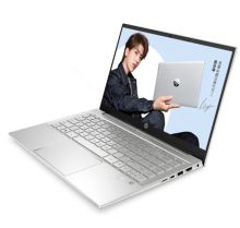 惠普 星 14-dv0008TX 14英寸笔记本(i7-1165G7 16G 512GSSD MX450-2G 无光驱 Win10 银色) （单位:台）