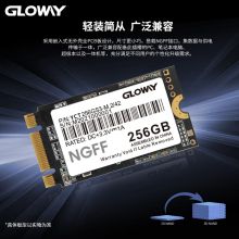 光威 256GB SSD固态硬盘 M.2接口 SATA总线 NGFF 2242（单位：个）