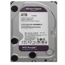 大华 4TB 硬盘 紫盘 本色（单位：块）