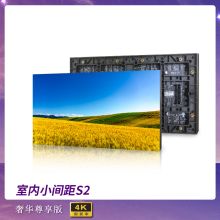 强力巨彩 S2 室内全彩LED显示屏 黑色（单位：平方米）