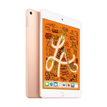 Apple iPad mini 5 2019年新款平板电脑 7.9英寸（64G WLAN版/A12芯片 MUQY2CH/A）金色 单位：个