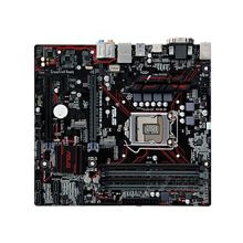 华硕 PRIME-B250M-PLUS 主板 (单位：个)