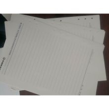 国产 笔记页 500页/本 管理者标准作业手册 9孔活页内芯 白色 (单位:本)