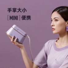 大宇 HI-029-BAI 家用手持蒸汽熨烫机 白色（单位：个）
