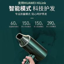 艾优 PF9-H 智能吹风机 白色（单位：套）