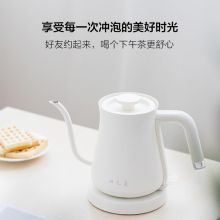 魔光球 BL-K0799 304不锈钢 电热水壶 （单位：个)