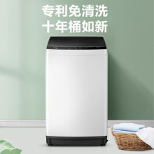 美的 MB80ECO1 波轮洗衣机全自动 8公斤  水电双宽（单位：台）