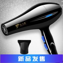 国产 ZL0111 大功率吹风机 （单位：个）