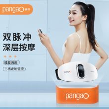 攀高 PANGAO 按摩器PG-2645智能腰腹部按摩仪