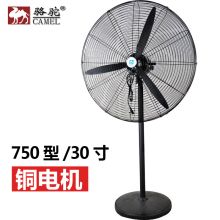 骆驼 750型 塑叶 工业电风扇牛角扇 铜电机网罩直径约80CM 线长1.5m（单位：台）