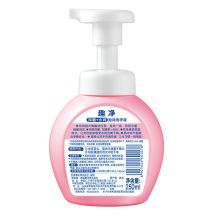 狮王 250ml 趣净泡沫抑菌水润爽肤香型 洗手液 （单位：瓶）