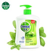 滴露/Dettol 健康抑菌植物呵护 洗手液 YC 500g