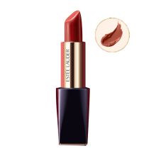 雅诗兰黛/Estee Lauder 倾慕哑光唇膏口红333#干枫叶色 口红 YC 3.5g