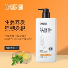 征服/CONQUER 生姜护发青蒿 洗发水 190ml