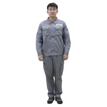 燕舞 YW2019ZYTT5024XJ 180码 防静电工作服 夏季长袖款 男女同款 LOGO定制 灰色 (单位：套)