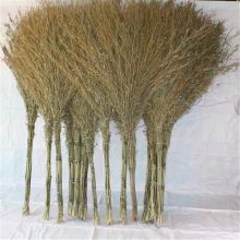 领象-1.7CM手工竹扫帚竹笤帚物业手工竹扫帚竹笤帚物业大扫把环卫 大扫把环卫（单位：个）