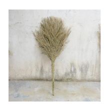 国产 ZS-Z 大竹扫帚（单位：把）