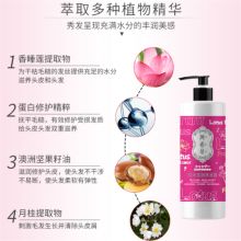 阿希朵 1L 顺滑滋润洗发露（单位：瓶）
